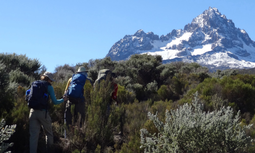 Ascending towards Mawenzi on the Rongai route