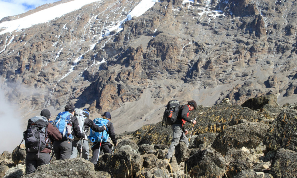 Trekking above Karanga camp to Barafu on the Machame Route